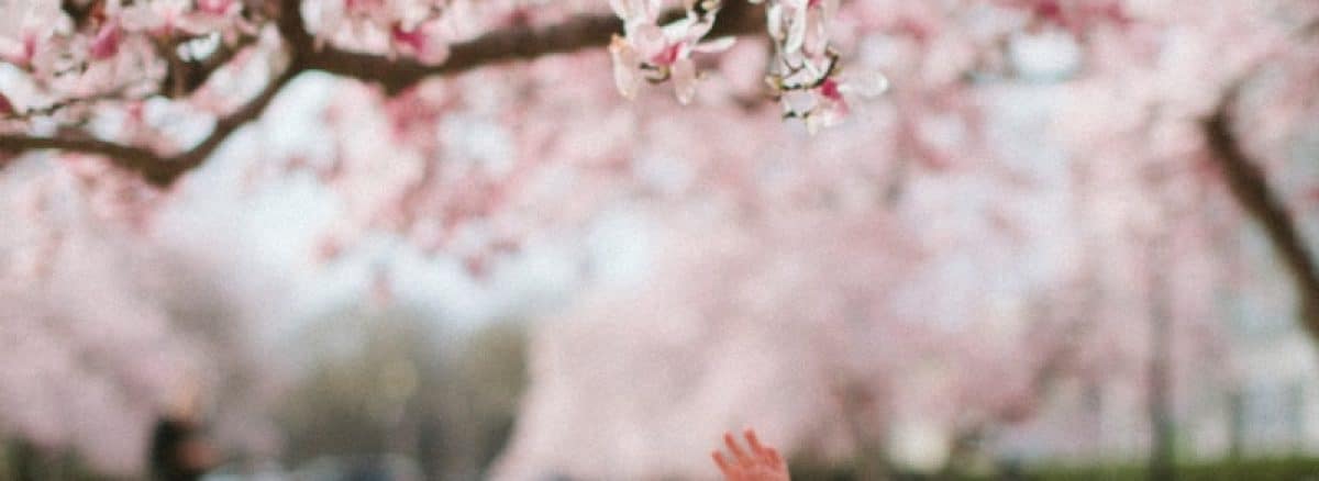 girl under cherry blossom tree