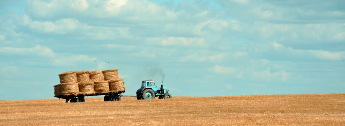 brown hay on tractor under white and blue sky during daytime