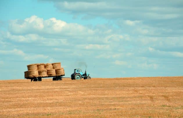 brown hay on tractor under white and blue sky during daytime