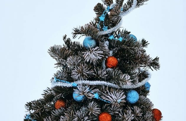 a tree decorated with ornaments