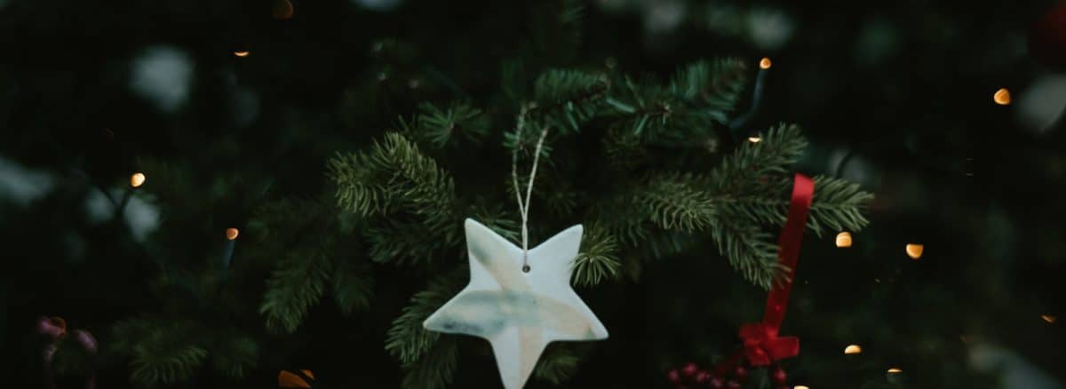 a white ornament hanging from a christmas tree