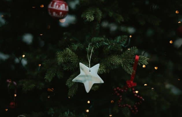 a white ornament hanging from a christmas tree