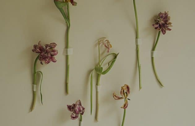 a bunch of flowers that are on a wall