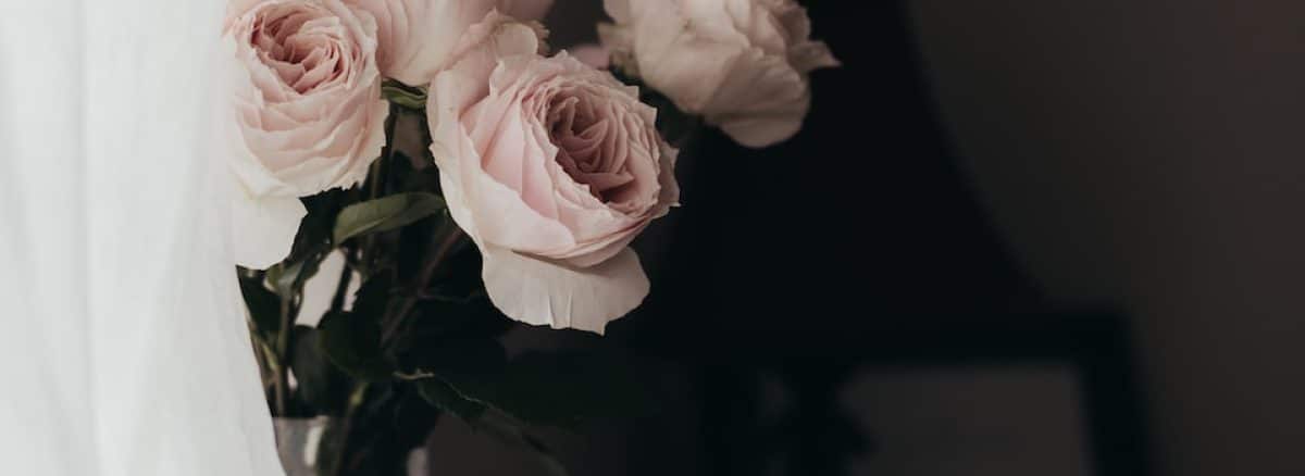 a vase filled with pink roses sitting next to a window