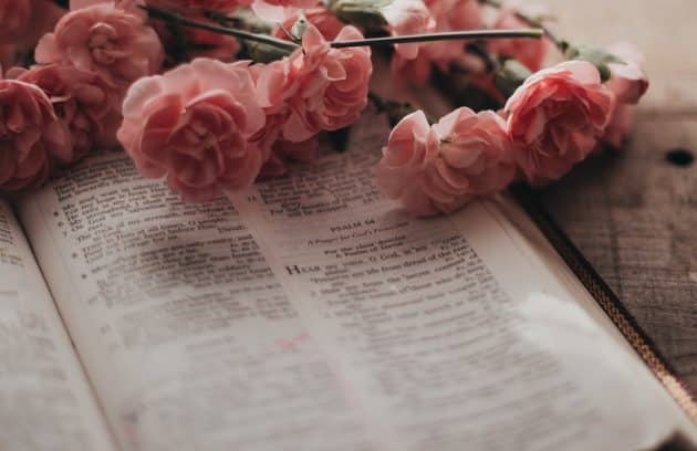 a bunch of pink flowers sitting on top of an open book