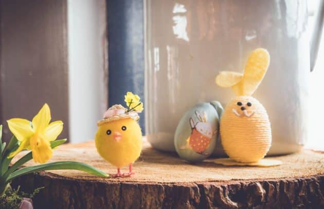 yellow bird plush toy on brown wood