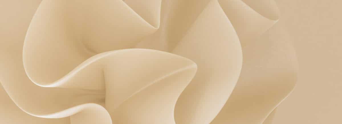 a close up of a white flower on a beige background