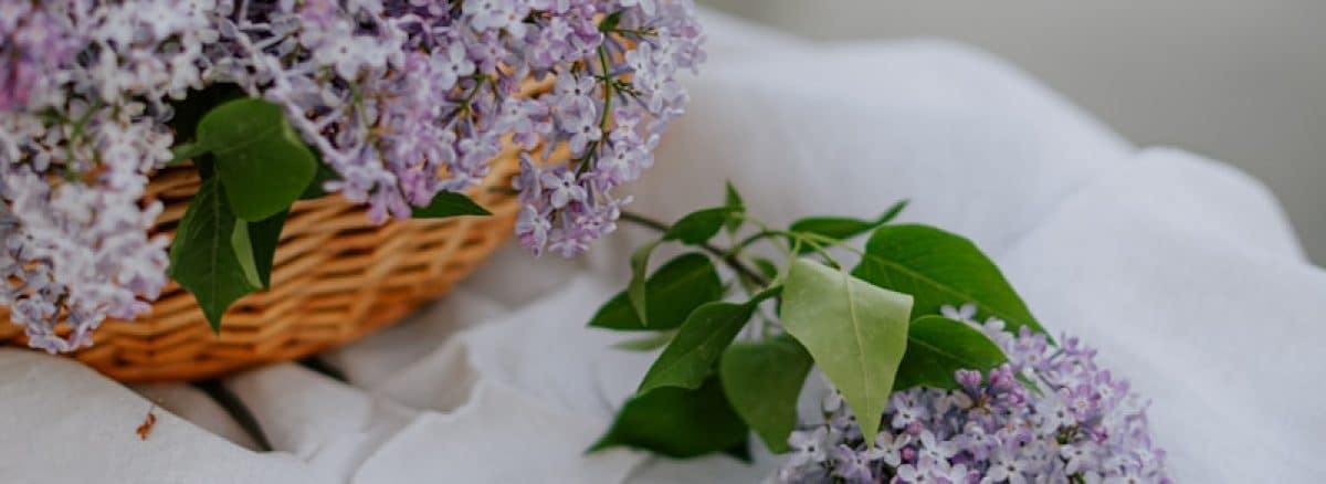 a wicker basket filled with lilacs on a white cloth