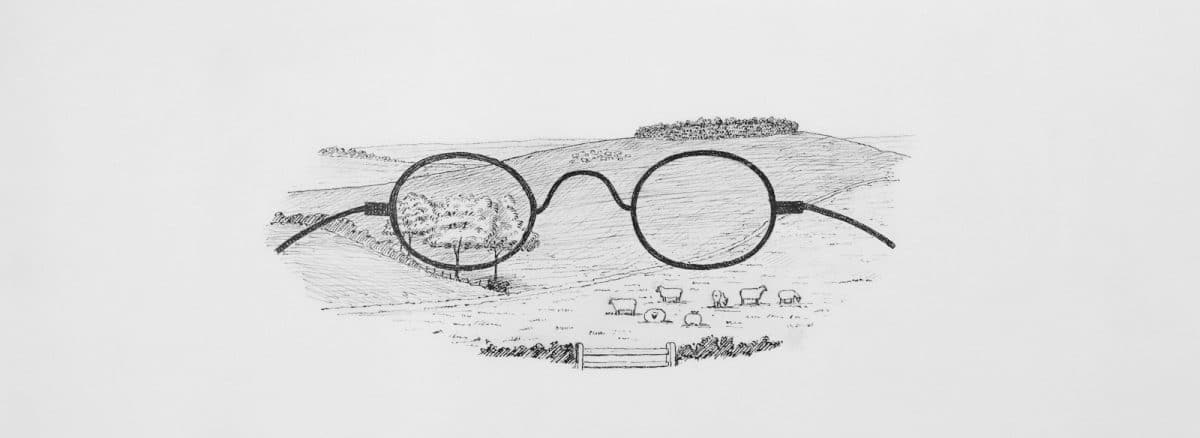 a pencil drawing of a pair of glasses